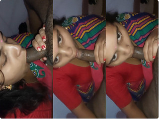 Horny Desi Wife Sucking Hubby Dick